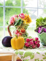 免费cc攻击测试