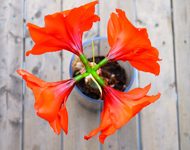 网站攻击工具手机版